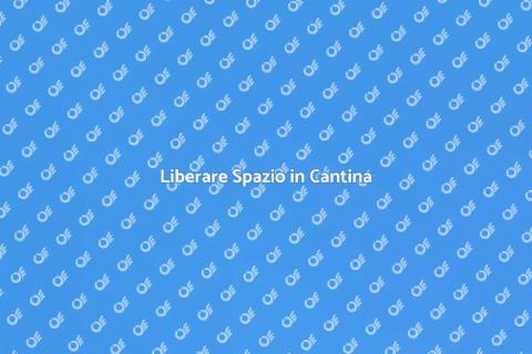 Svuotare Cantine in Modo Professionale