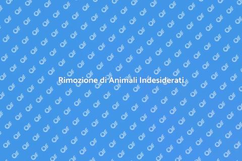 Rimozione Animali: Servizio Efficace