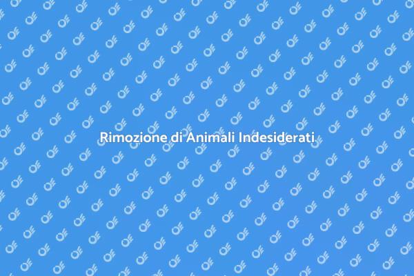 Rimozione Animali: La Soluzione Perfetta