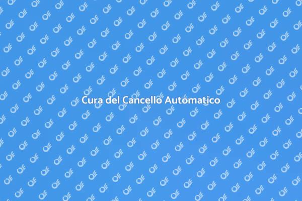 Importanza della Manutenzione del Cancello