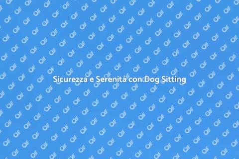 Dog Sitting Notturno: Serenità Fido