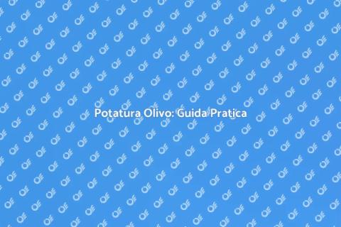 Potatura dell'Olivo: Tecniche Efficaci