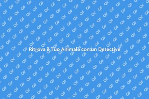 Pet Detective: Trova il Tuo Amico