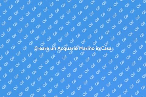 Acquario Marino: Bellezza e Tranquillità