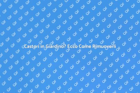 Rimuovere i Castori: Guida Pratica