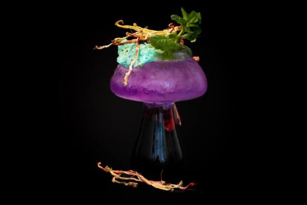 Nico C. - Foto 10