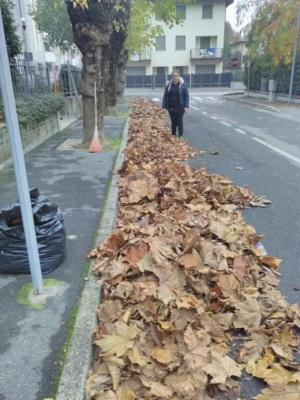 NUOVA CLEP DI ERVARINI SIMONA - Foto 9