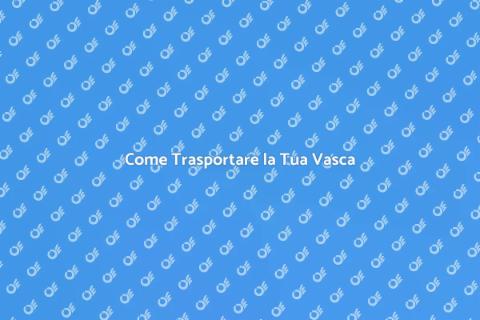 Trasporto Vasca: Guida Essenziale