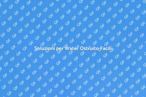 Risolvere il Problema del Water Ostruito