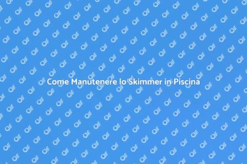 Manutenzione Skimmer Piscina Essenziale