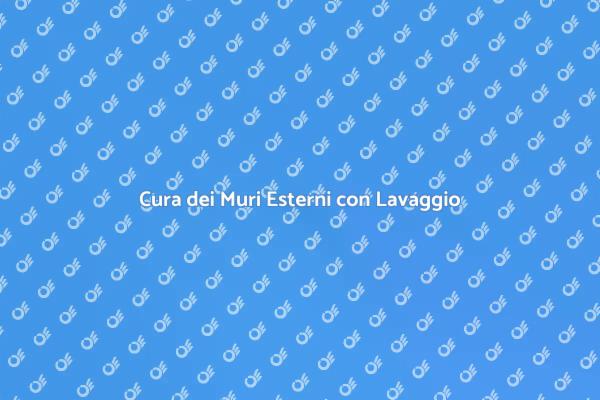 Riscopri i Tuoi Muri Esterni
