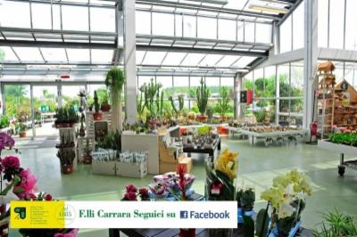 Fratelli Carrara  - Foto 2