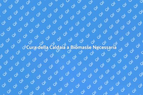 Manutenzione Straordinaria Caldaia Biomasse