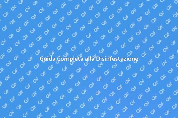 Soluzioni per la Disinfestazione di Scarafaggi