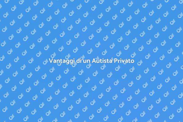 Perché Scegliere un Autista Privato