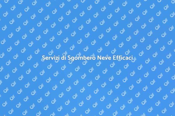 Sgombero Neve: Sicurezza Invernale