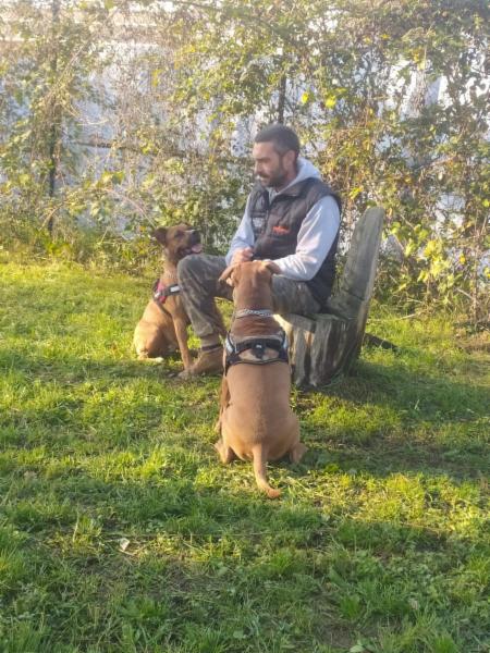 CRAZYFORDOGS - Foto 5