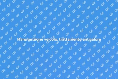 Pulizia veicolo con trattamento anticalore
