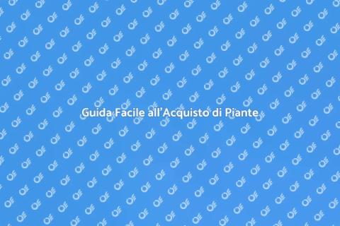 Piante da Giardino: Guida all'Acquisto