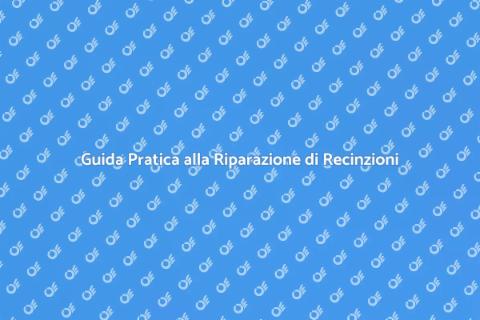 Riparare Recinzione e Pedana Facile