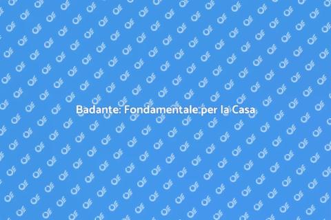 Badante Esperta nella Gestione Casa