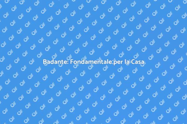 Badante: La Chiave per la Serenità Domestica
