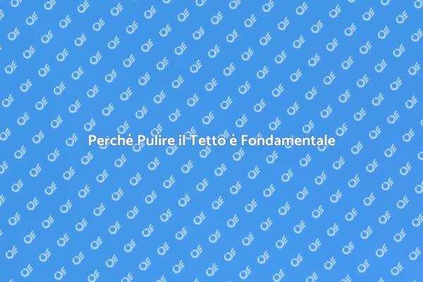Pulizia Tetto: Un Passo Fondamentale