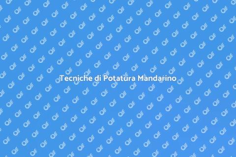 Potatura Alberi di Mandarino