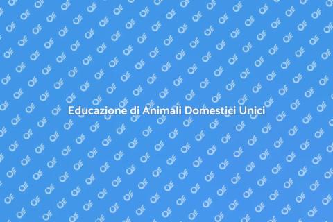 Allenamento Animali Domestici Unici