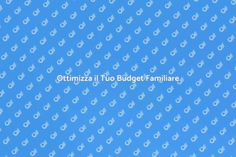 Consulenza per Budget Familiare
