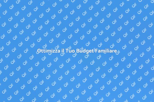 Gestisci il Tuo Budget con Esperti