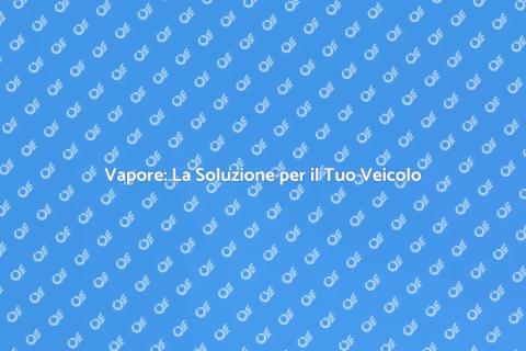 Pulizia Esterna Veicolo con Vapore