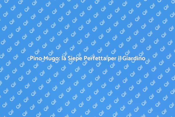 Pino Mugo: Bellezza per il Tuo Giardino
