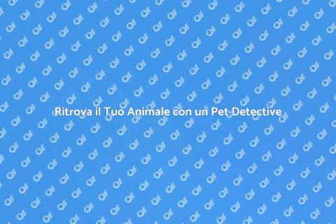 Pet Detective: Trova il Tuo Amico
