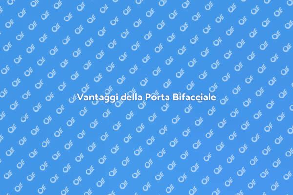 Porta Bifacciale: Design e Funzionalità