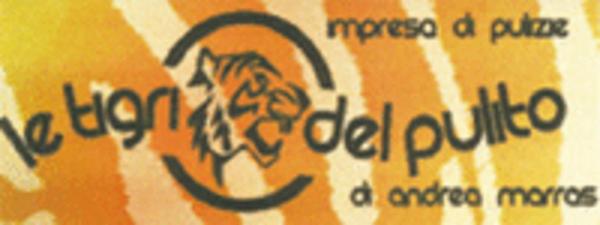 Le Tigri del Pulito  - Foto 1