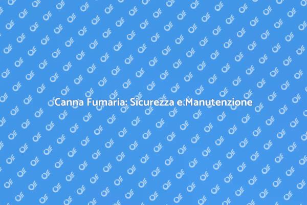 Manutenzione Canna Fumaria Essenziale