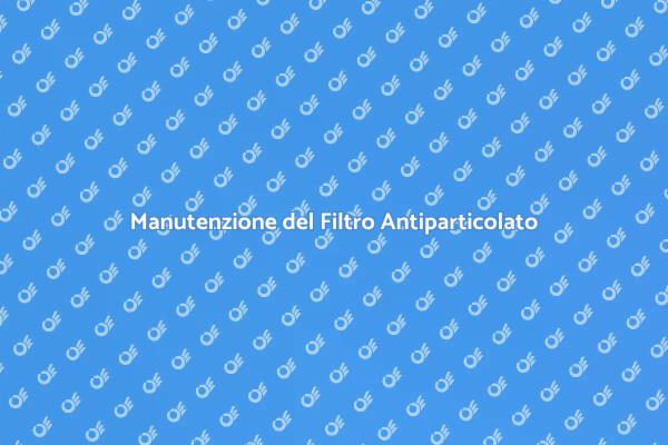 Pulizia Filtro Antiparticolato Essenziale