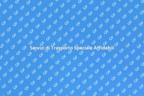 Trasporto Speciale per Oggetti Delicati
