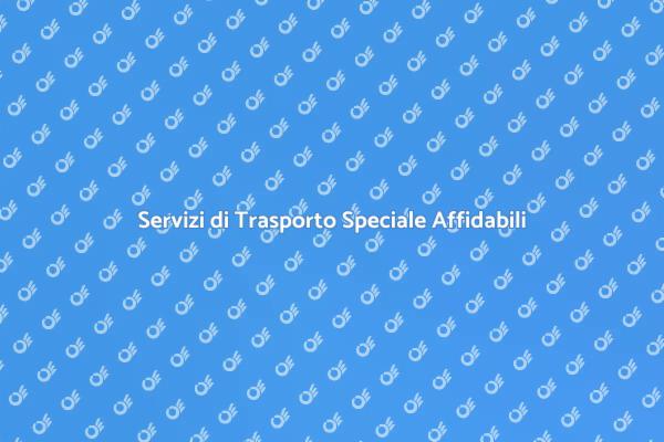 Trasporto Speciale: Sicurezza e Professionalità