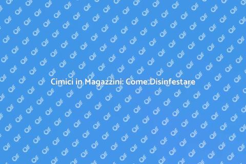 Disinfestazione Cimici in Magazzini
