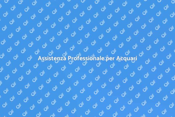 Supporto Esperto per il Tuo Acquario