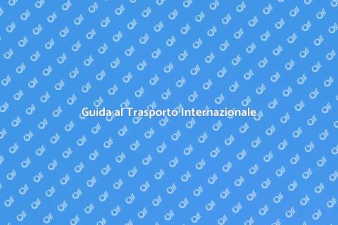 Trasporto Internazionale Semplificato