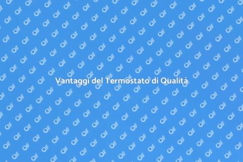 Termostato di Alta Qualità per Casa