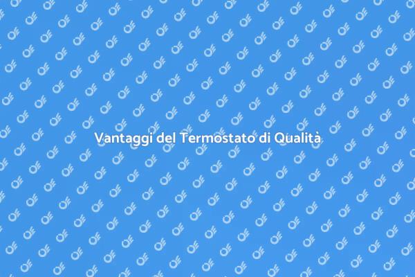 Termostato: Scegli la Qualità per Risparmiare