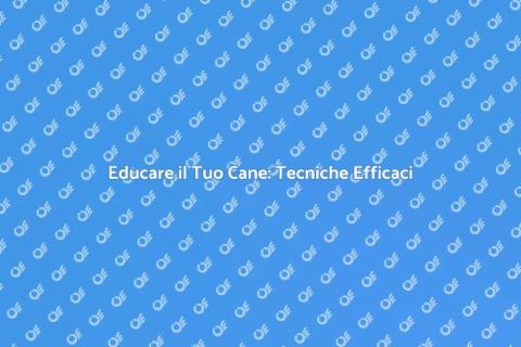 Addestramento Base per Cani: Guida
