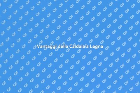 Caldaia a Legna: Calore Sostenibile