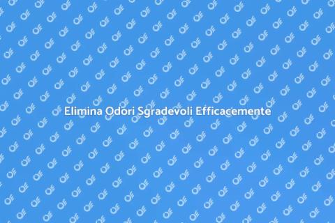 Rimozione Odori: Soluzioni Efficaci