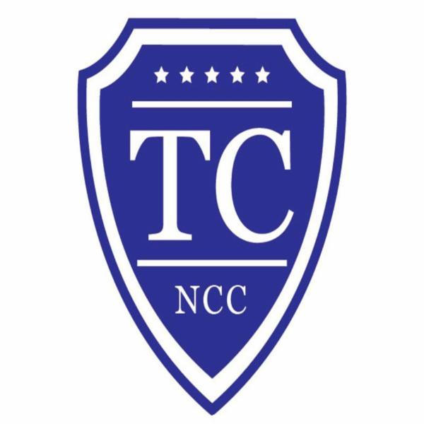 Travel Cars - Ncc & Taxi Privato  - Foto 6