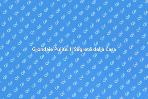 Pulizia Grondaie: Casa in Salute